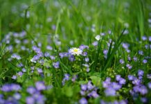 Czy nagroda i premia to to samo?