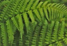 Jak wdrożyć stronę internetową? Jak wdrożyć stronę internetową?