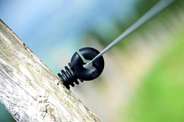 Jak nazywają Polaków w USA? Jak nazywają Polaków w USA?