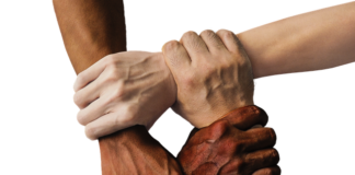 W jakim języku jest napisane Unity?