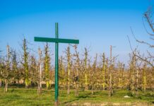 Kiedy nie ma regulaminu pracy?