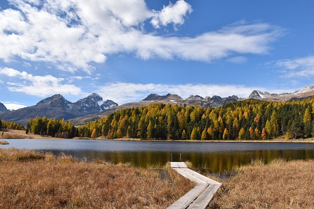 Jak znaleźć staż za granicą? Jak znaleźć staż za granicą?