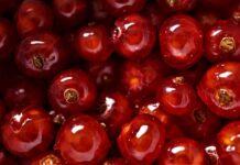 Gdzie najlepiej traktują Polaków?