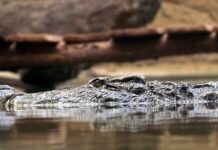 Jakie są podstawowe zasady prawa cywilnego?