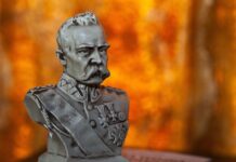 Co wydaje naczelnik urzędu skarbowego? Co wydaje naczelnik urzędu skarbowego?